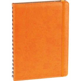 17x24 Spiralli Ajanda 